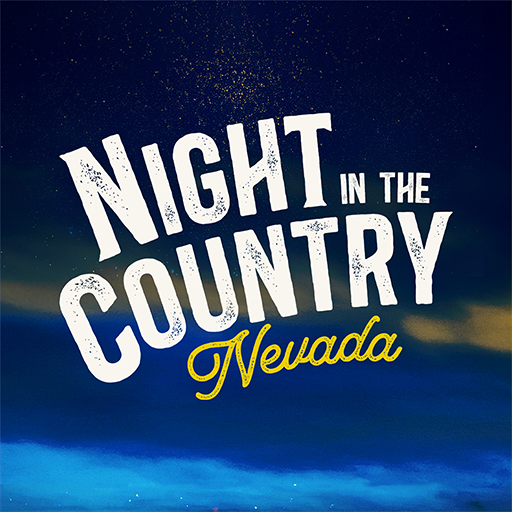 Night in the Country