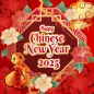 Chinese new year frame 2025
