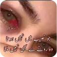 Sad Poetry Collection