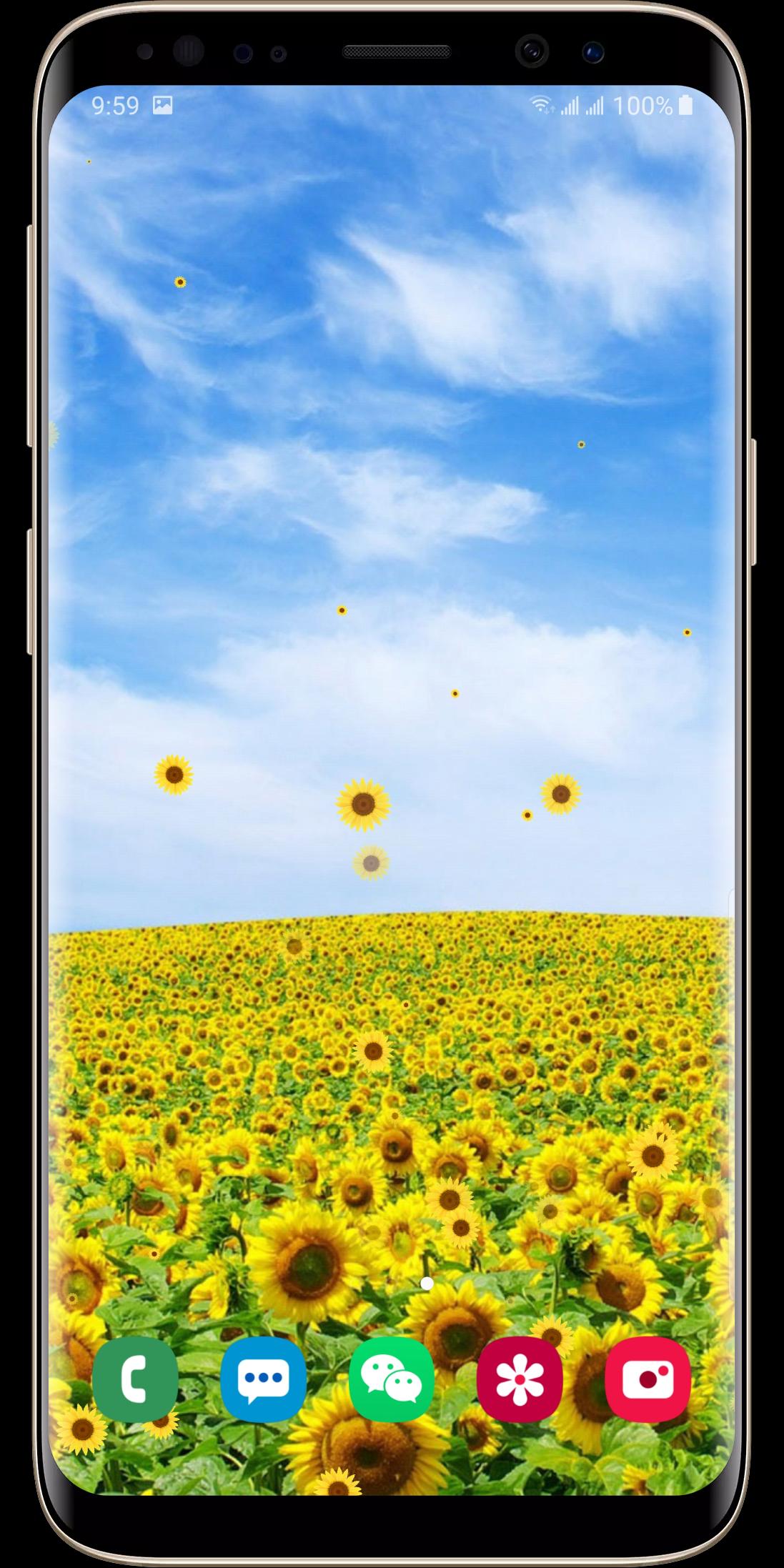 Download Sunflower Live Wallpaper android on PC