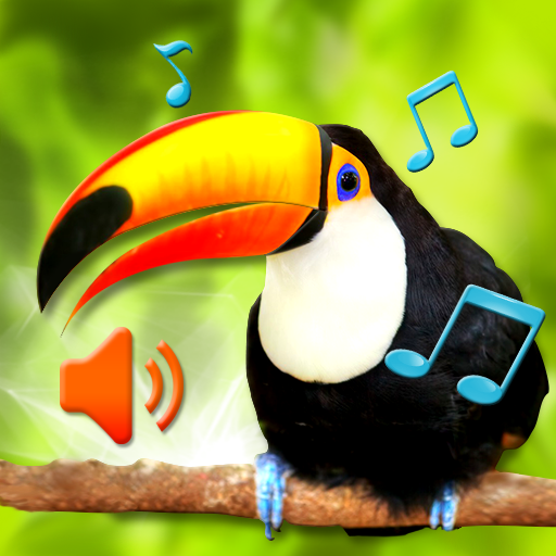 Birds Sounds Ringtone