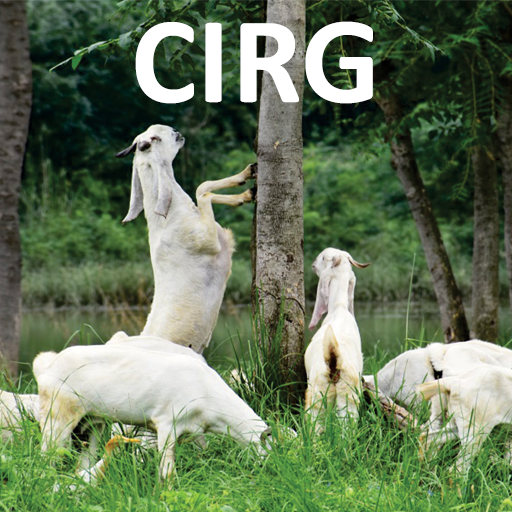 CIRG - Goat Farming (बकरी पालन