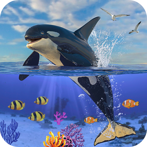 Orca simulator Killer Whale 3D