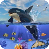 Orca simulator Killer Whale 3D