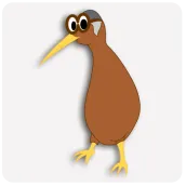 Kiwi Bird