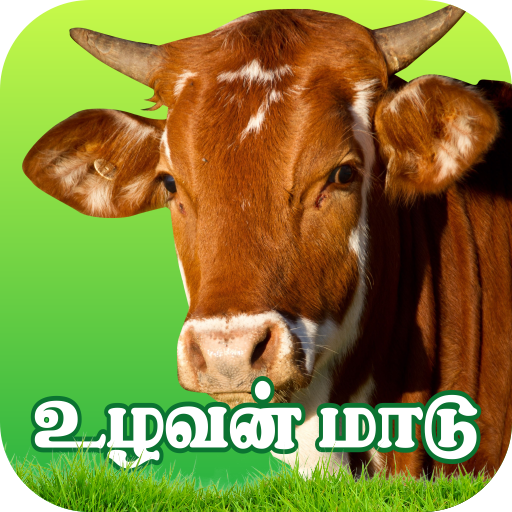 Uzhavan Maadu - உழவன் மாடு