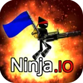 Ninja io