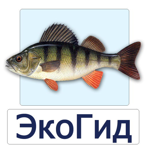 ЭкоГид: Рыбы России