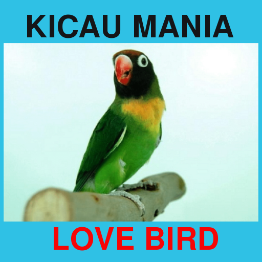 Suara Kicau Love Bird Juara Offline
