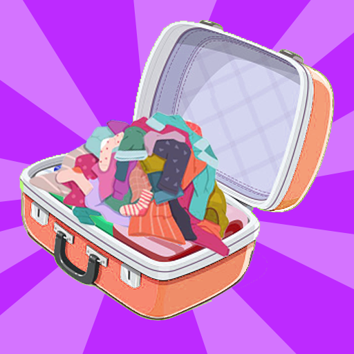 Luggage Organizer