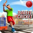 Campeonato de críquete de rua