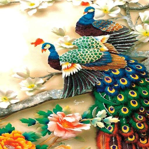 ColorFul Peacock LiveWallpaper