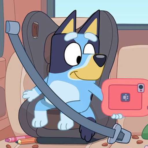 Bluey And Bingo Hero Game