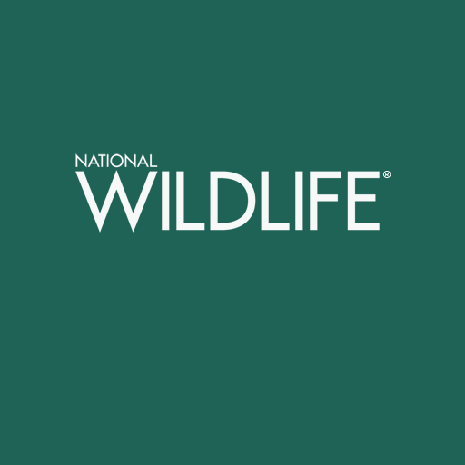 National Wildlife Magazine