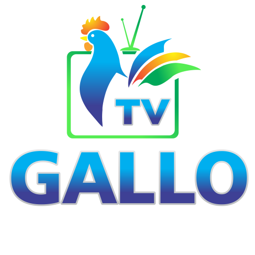 Web TV Gallo APP