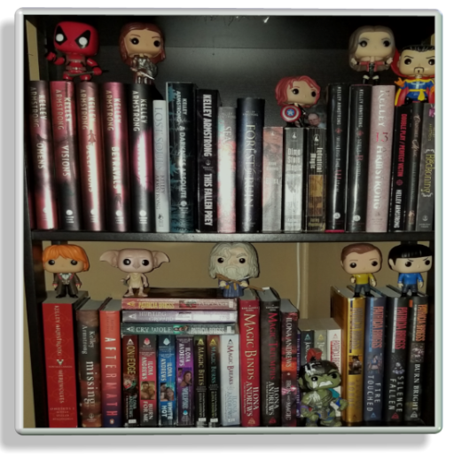 My Book Shelf