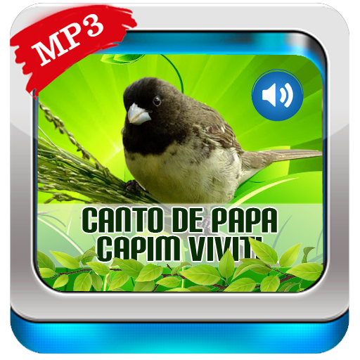 Canto De Papa-Capim viviti