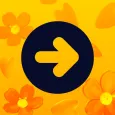 ONAY! Общественный транспорт