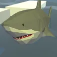 Shark World
