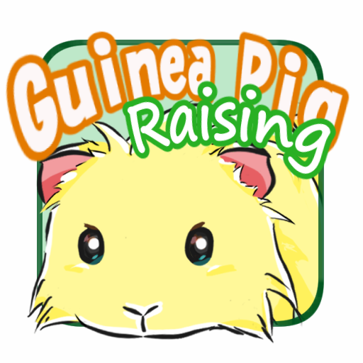 Let`s raise a guinea pig!