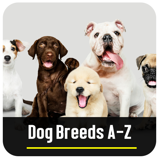Dog Breeds A-Z