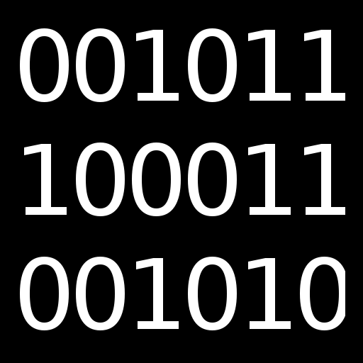 Binary Conversion Quiz