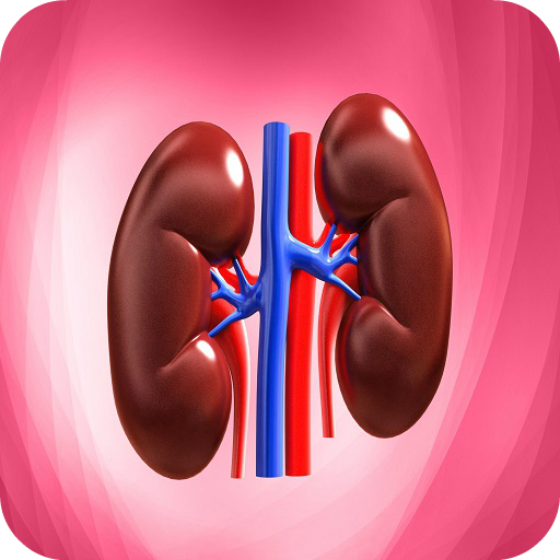 Nephrology Basics