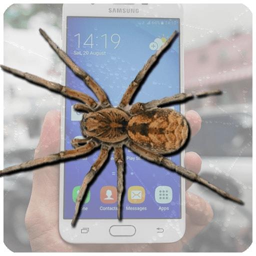 Spider in my phone