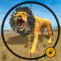 Animals Jungle Lion Shooting