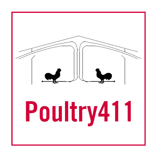 Poultry411