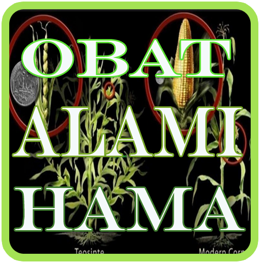 Obat Alami Hama Pertanian