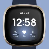 Fitbit Versa 3