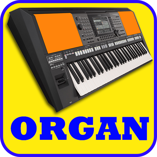 Organ, Piano, Guitar, Drum Pad