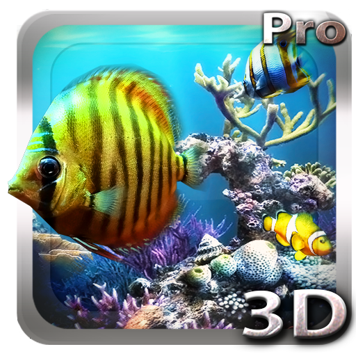 Tropical Ocean 3D LWP