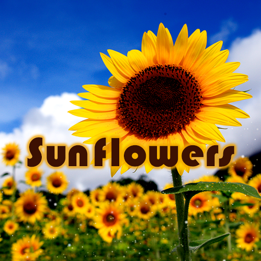 Sunflowers tema +HOME