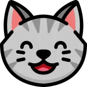 Meow VPN