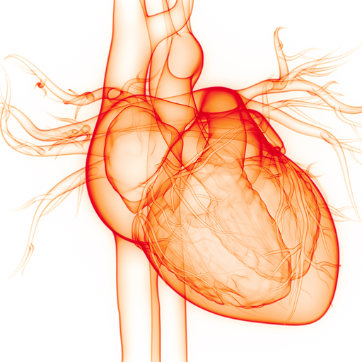 Antiarrhythmics for Afib