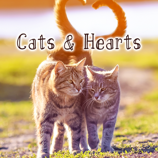 Cats & Hearts Theme