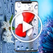 Raindrop Video Live Wallpaper