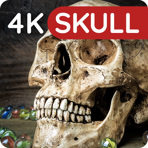 Hình nền với Skulls 4K
