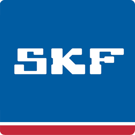 VSM SKF India Parts