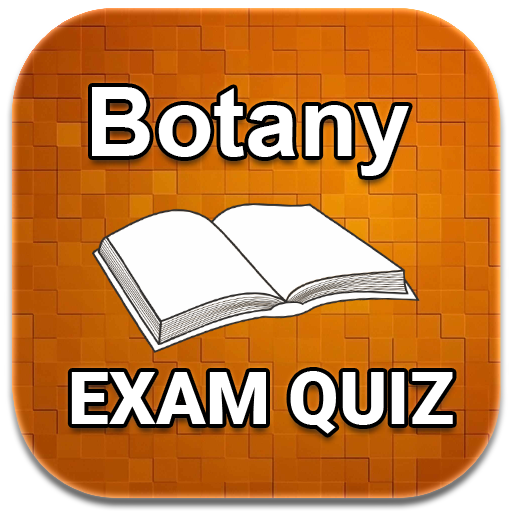 Botany Exam Quiz 2024 Ed