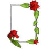 Floral photo Frames
