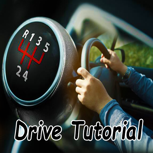 Learn How to Drive Manual Car