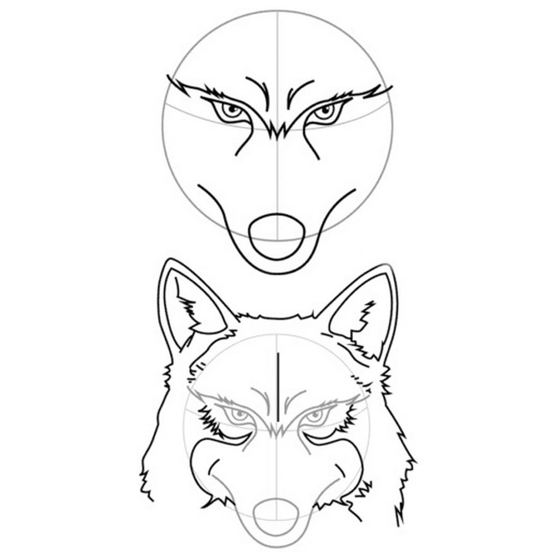 how to draw a anime wolf face