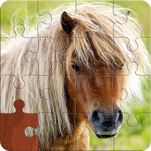 Pony Puzzles: Pony and Horse Jigsaw Puzzles