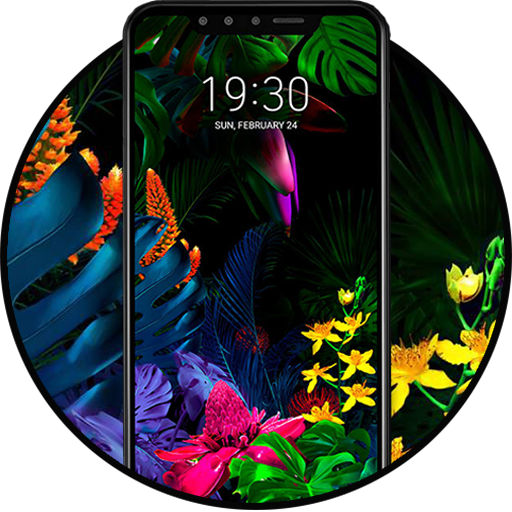 Theme for LG G8s ThinQ