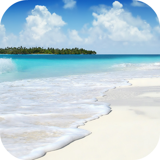 Beach Video Live Wallpaper