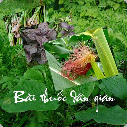 Bài thuốc dân gian - Hay và Bổ