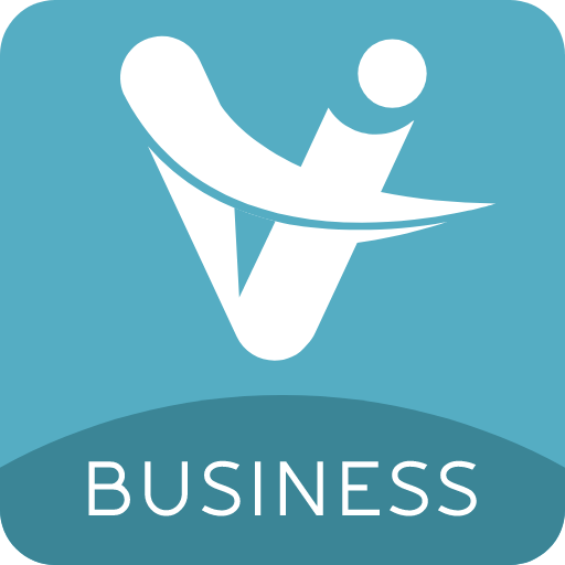 Vconsol Business
